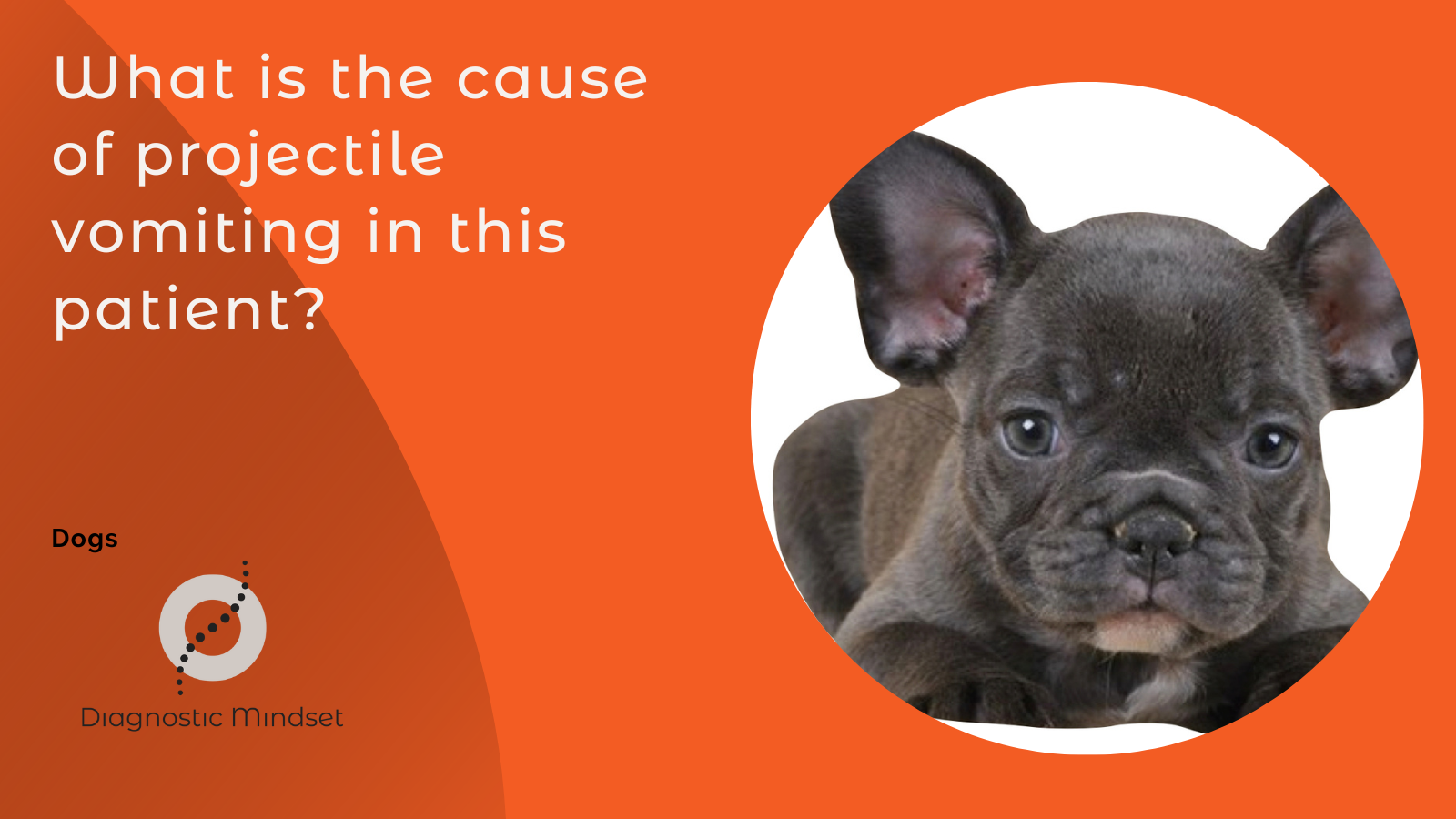 What is the cause of projectile vomiting in this patient? Diagnostic