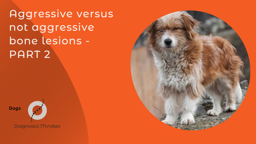 Aggressive versus not aggressive bone lesions PART 2 Diagnostic Mindset