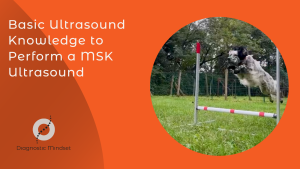 Protected: Musculoskeletal Course I